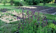 Blick auf die frisch gemachten Beete übern Kräutergarten
