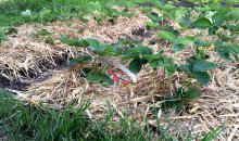 Kleiner Sonntagseinsatz