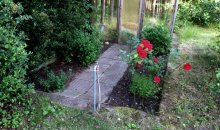 Alles wieder blitzeblank vorm Gewächshaus. Die roten Rosen freuen sich.