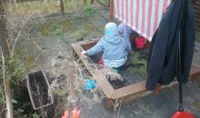 Beseitigung der Herbststurmschäden