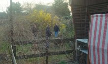 IMG_20150328_180600_hdr