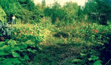 bo__2017.08.02_18.00.00