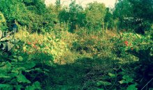 bo__2017.08.09_18.00.00