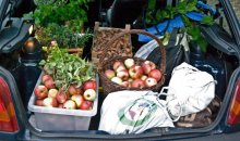 harvest-2007-kofferraum