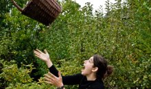 harvest-2007-korbwerfen