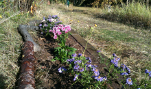 Herbstliches Dekobeet