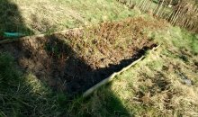 Himbeerbefreiung: fast fertig