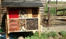 Insektenhotel: endgültig bezugsfertig